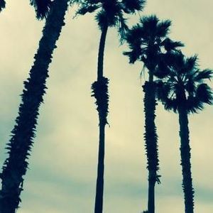 Meet your Posher, Destiny